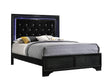 Micah Black Queen LED Upholstered Panel Bed by Crown Mark at Eve Furniture