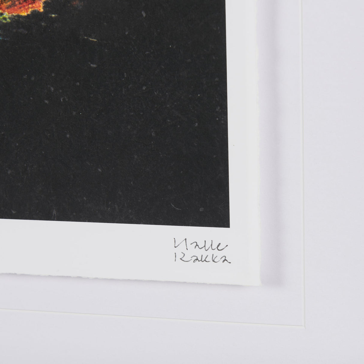 Midnight Flower I by Mercana Studio a Framed Art Print Matted under Glass by Mercana at Eve Furniture