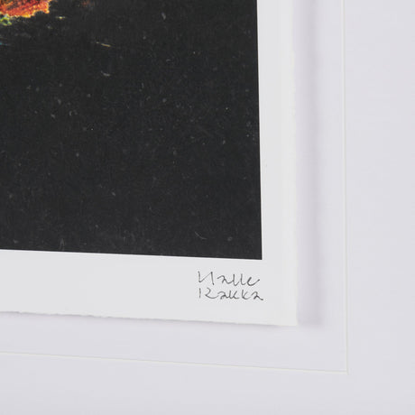 Midnight Flower I by Mercana Studio a Framed Art Print Matted under Glass by Mercana at Eve Furniture
