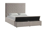 Mio Velvet Grey Queen Bed by New Era Innovations at Eve Furniture