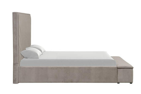 Mio Velvet Grey Queen Bed by New Era Innovations at Eve Furniture