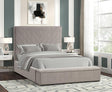 Mio Velvet Grey Queen Bed by New Era Innovations at Eve Furniture