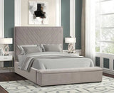Mio Velvet Grey Queen Bed by New Era Innovations at Eve Furniture