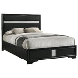 Miranda Black 55-inch Upholstered Queen Panel Bed by Coaster at Eve Furniture