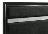 Miranda Black 55-inch Upholstered Queen Panel Bed by Coaster at Eve Furniture
