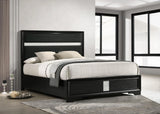 Miranda Black 55-inch Upholstered Queen Panel Bed by Coaster at Eve Furniture