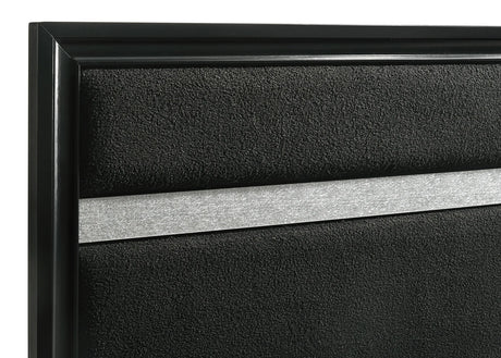 Miranda Black 55-inch Upholstered Twin Panel Bed by Coaster at Eve Furniture