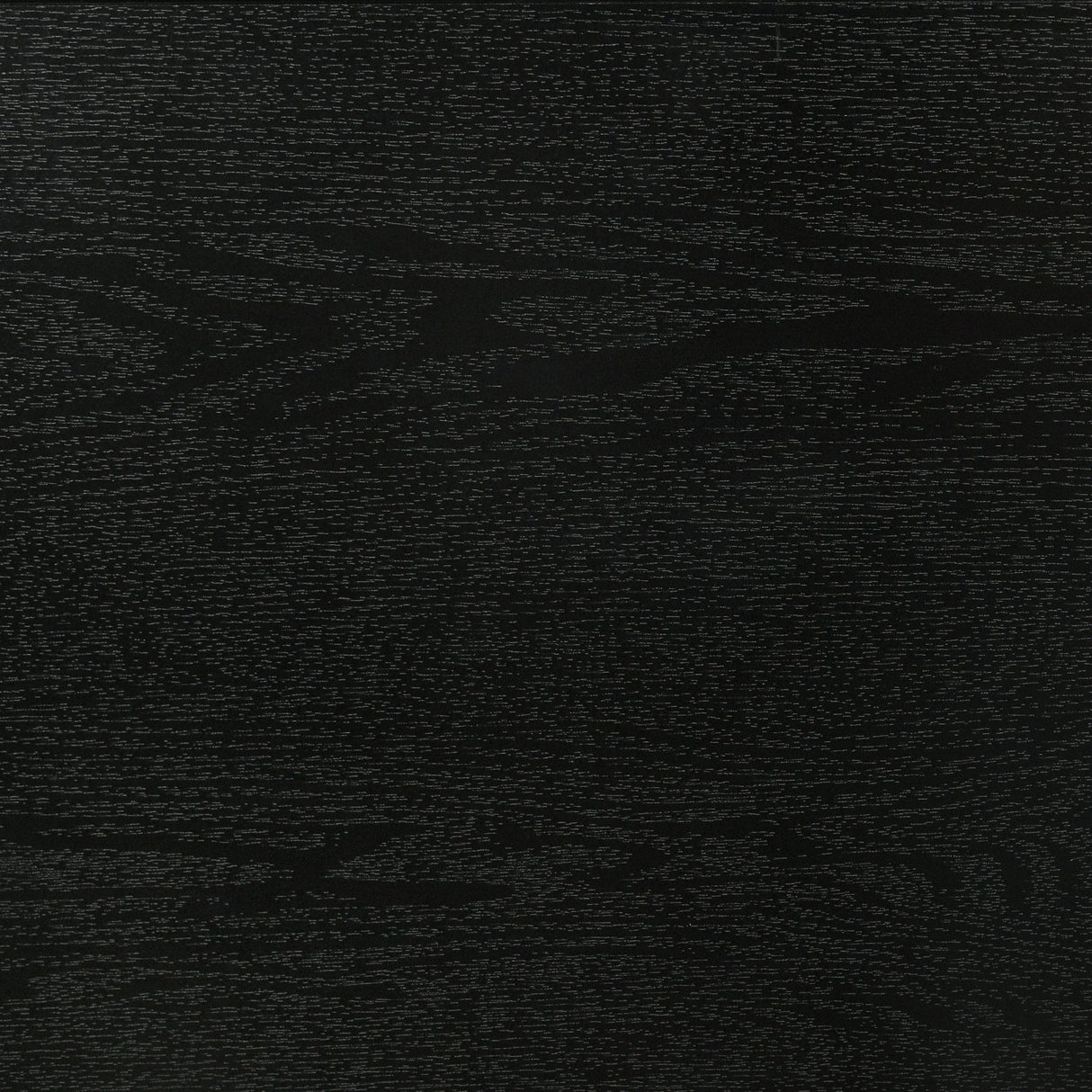 Miranda Black 55-inch Upholstered Twin Panel Bed by Coaster at Eve Furniture