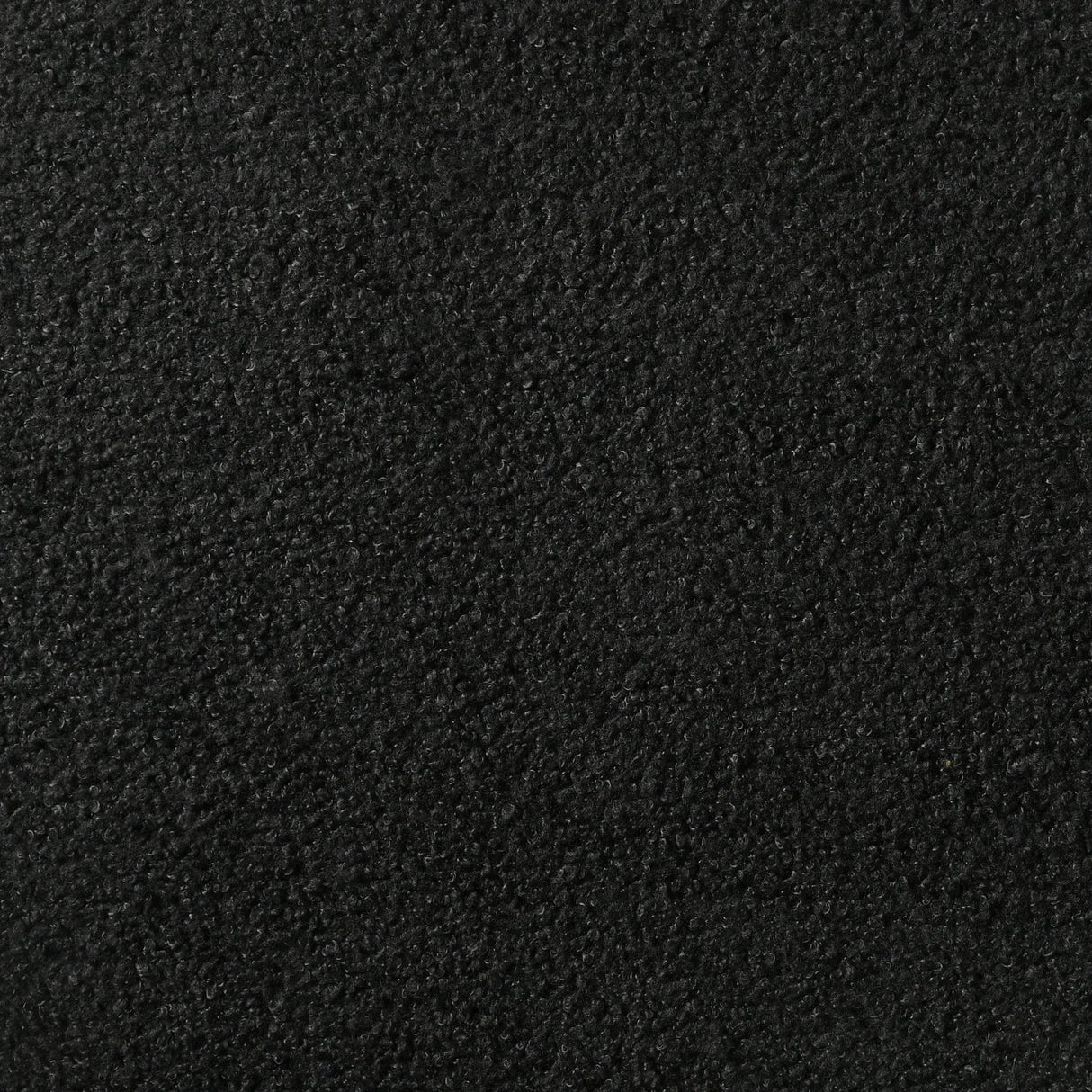 Miranda Black 55-inch Upholstered Twin Panel Bed by Coaster at Eve Furniture