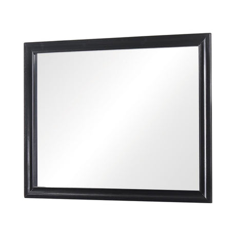 Miranda Black Rectangular Mirror by Coaster at Eve Furniture