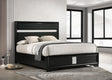 Miranda Black 55-inch Upholstered Queen Panel Bed by Coaster at Eve Furniture
