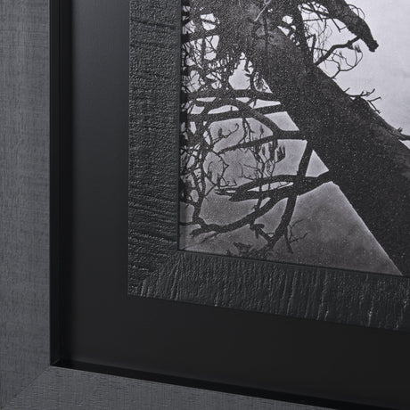 Mirror View by Carleton E Watkins a Hand Embellished Textured Framed Photo Art Print by Mercana at Eve Furniture