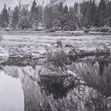 Mirror View by Carleton E Watkins a Hand Embellished Textured Framed Photo Art Print by Mercana at Eve Furniture