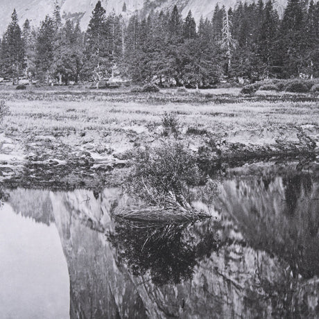 Mirror View by Carleton E Watkins a Hand Embellished Textured Framed Photo Art Print by Mercana at Eve Furniture