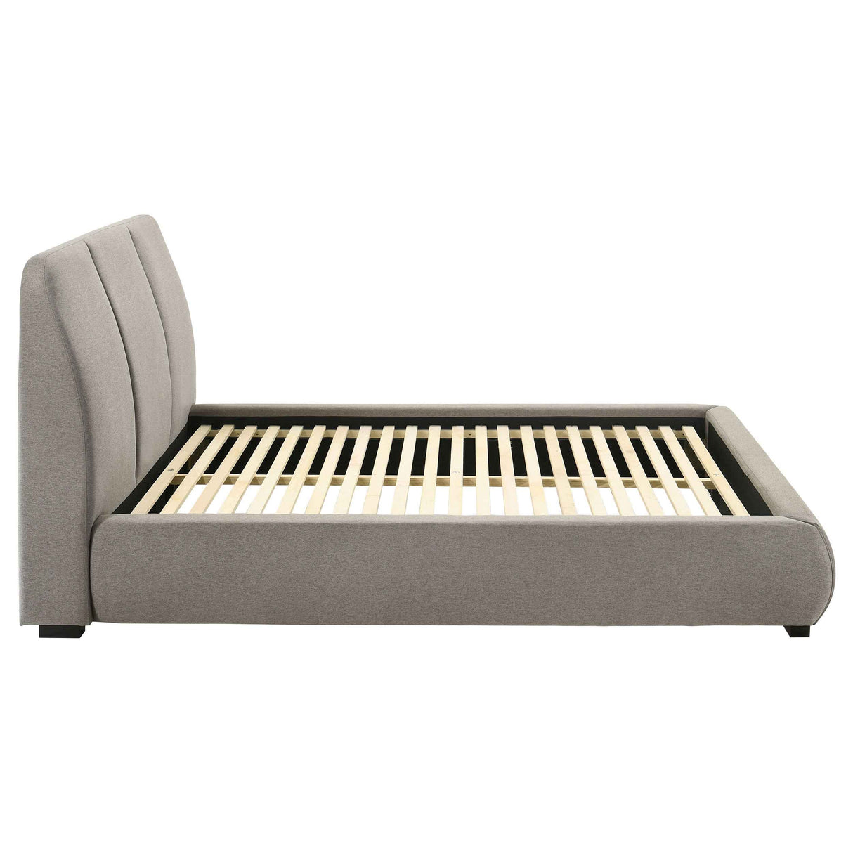 Mokena Taupe 46-inch Upholstered Queen Platform Bed by Coaster at Eve Furniture