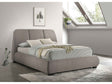 Mokena Taupe 46-inch Upholstered Queen Platform Bed by Coaster at Eve Furniture