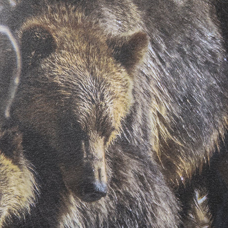 Mom and Cub by Chad Mackay a Hand Embellished Textured Framed Photo Art Print Matted under Glass by Mercana at Eve Furniture