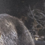 Mom and Cub by Chad Mackay a Hand Embellished Textured Framed Photo Art Print Matted under Glass by Mercana at Eve Furniture