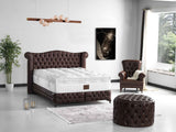 Monalisa Storage Bed With Headboard Brown by Furnia at Eve Furniture