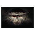 Monkey Black Photography 48x72 by Classic Home at Eve Furniture