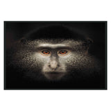 Monkey Black Photography 48x72 by Classic Home at Eve Furniture