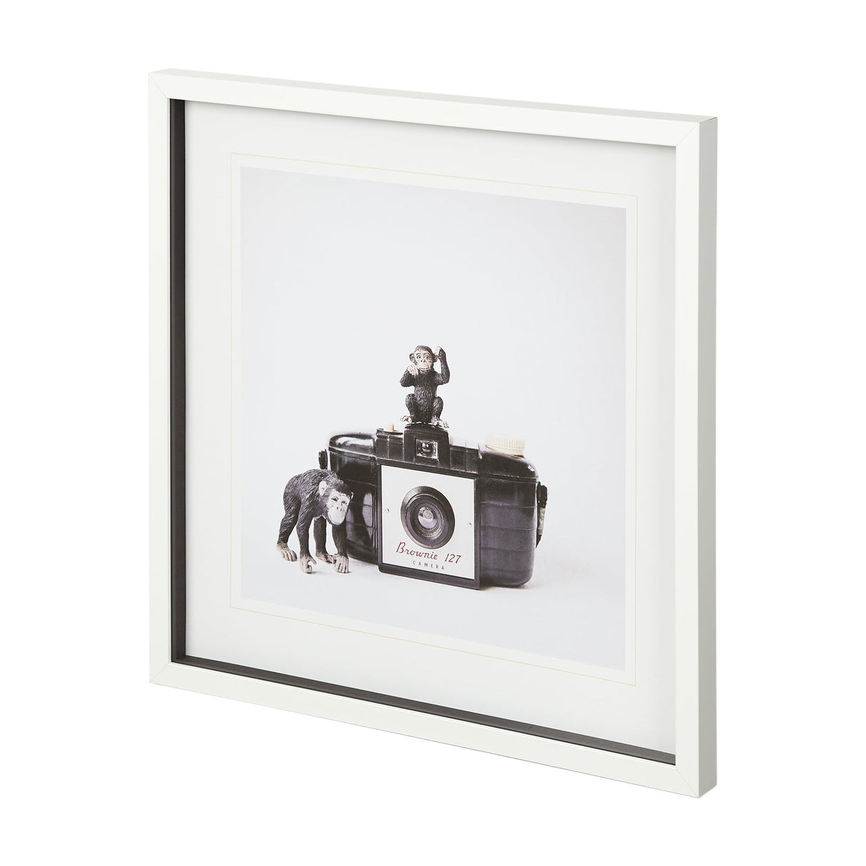 Monkeys & Vintage Camera by Susannah Tucker Photography a Framed Photo Art Print Matted under Glass by Mercana at Eve Furniture