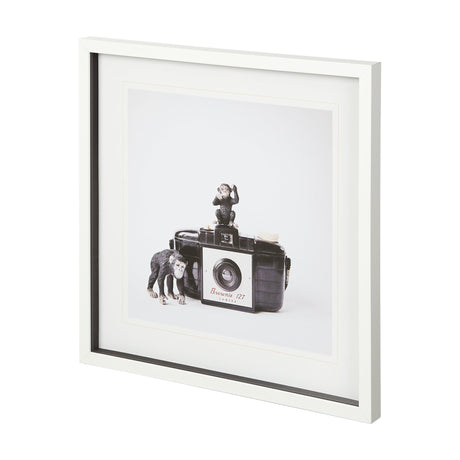 Monkeys & Vintage Camera by Susannah Tucker Photography a Framed Photo Art Print Matted under Glass by Mercana at Eve Furniture