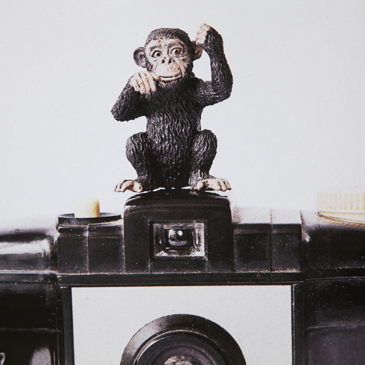 Monkeys & Vintage Camera by Susannah Tucker Photography a Framed Photo Art Print Matted under Glass by Mercana at Eve Furniture