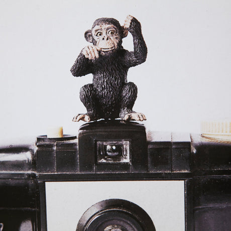Monkeys & Vintage Camera by Susannah Tucker Photography a Framed Photo Art Print Matted under Glass by Mercana at Eve Furniture