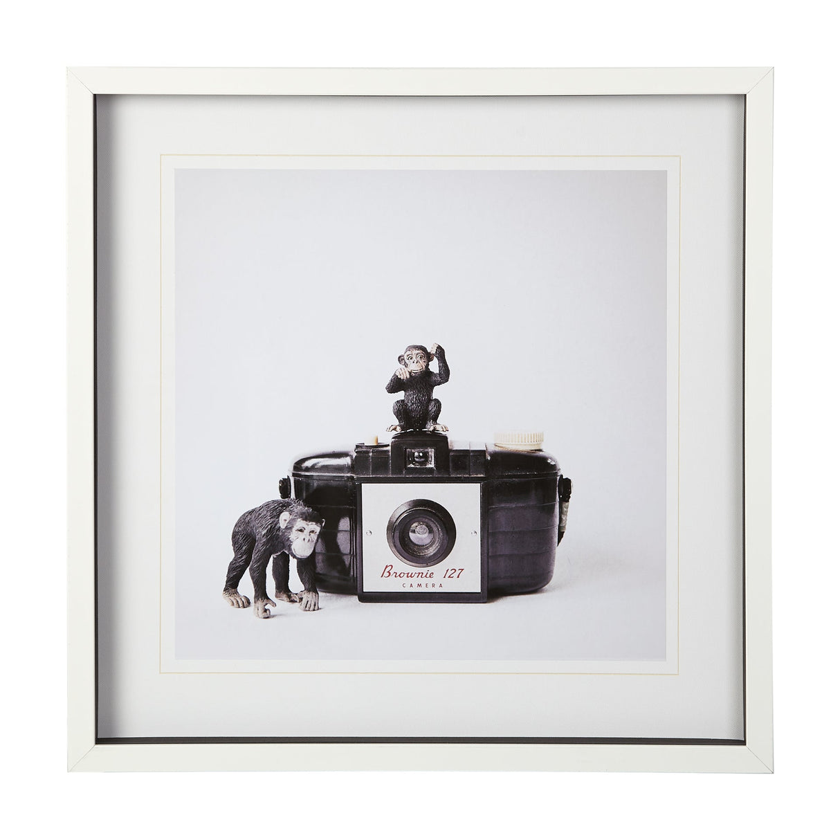 Monkeys & Vintage Camera by Susannah Tucker Photography a Framed Photo Art Print Matted under Glass by Mercana at Eve Furniture
