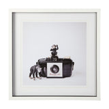 Monkeys & Vintage Camera by Susannah Tucker Photography a Framed Photo Art Print Matted under Glass by Mercana at Eve Furniture