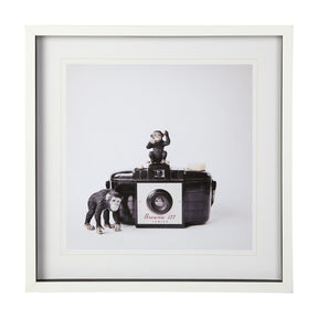 Monkeys & Vintage Camera by Susannah Tucker Photography a Framed Photo Art Print Matted under Glass by Mercana at Eve Furniture