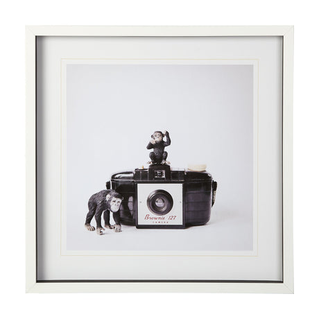 Monkeys & Vintage Camera by Susannah Tucker Photography a Framed Photo Art Print Matted under Glass by Mercana at Eve Furniture