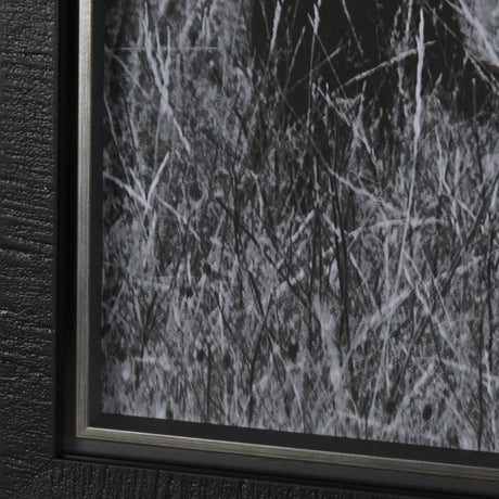 Montana Moves by Mercana Studio a Framed Photo Art Print Matted under Glass by Mercana at Eve Furniture