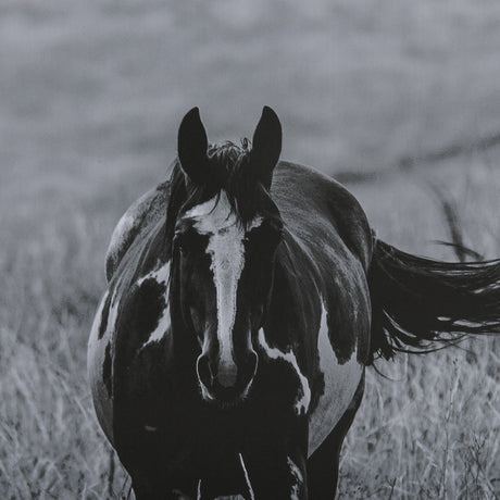 Montana Moves by Mercana Studio a Framed Photo Art Print Matted under Glass by Mercana at Eve Furniture