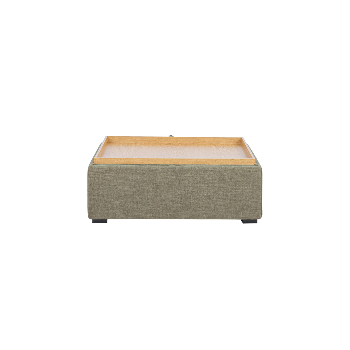 Montana Washed Green Storage Ottoman by MOES at Eve Furniture