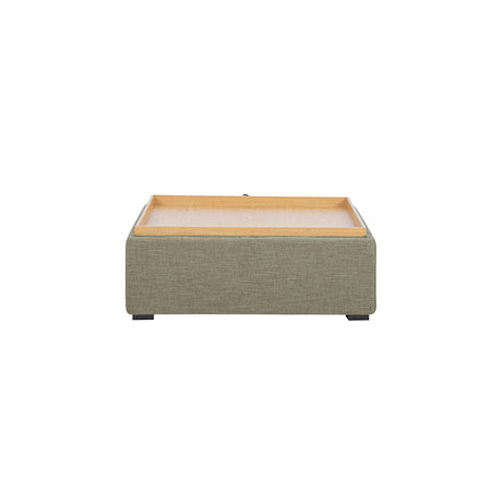 Montana Washed Green Storage Ottoman by MOES at Eve Furniture