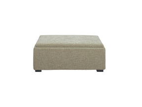 Montana Washed Green Storage Ottoman by MOES at Eve Furniture