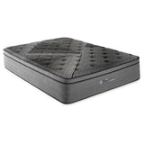 Montlake 15" Queen Cool Euro Top Foam Hybrid Mattress by Coaster at Eve Furniture