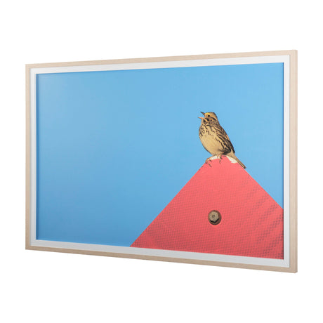 Morning Song by Mercana Studio a Hand Embellished Textured Framed Photo Art Print Matted under Glass by Mercana at Eve Furniture