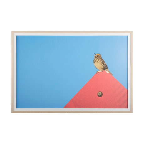 Morning Song by Mercana Studio a Hand Embellished Textured Framed Photo Art Print Matted under Glass by Mercana at Eve Furniture