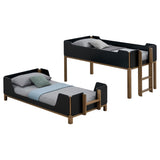 Morris Black/Walnut Twin Over Twin Wood Bunk Bed by Coaster at Eve Furniture