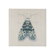 Moth Blue I by Mercana Studio a Hand Embellished Textured Canvas by Mercana at Eve Furniture