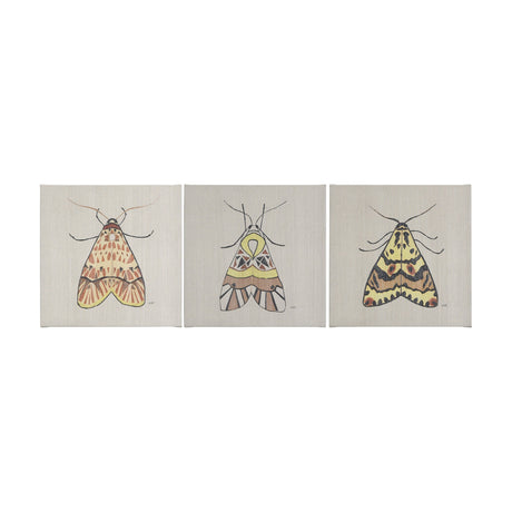 Moth I by Mercana Studio a Hand Embellished Textured Canvas by Mercana at Eve Furniture