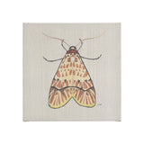 Moth I by Mercana Studio a Hand Embellished Textured Canvas by Mercana at Eve Furniture