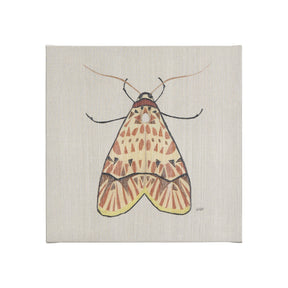 Moth I by Mercana Studio a Hand Embellished Textured Canvas by Mercana at Eve Furniture