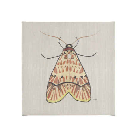 Moth I by Mercana Studio a Hand Embellished Textured Canvas by Mercana at Eve Furniture
