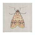 Moth I by Mercana Studio a Hand Embellished Textured Canvas by Mercana at Eve Furniture