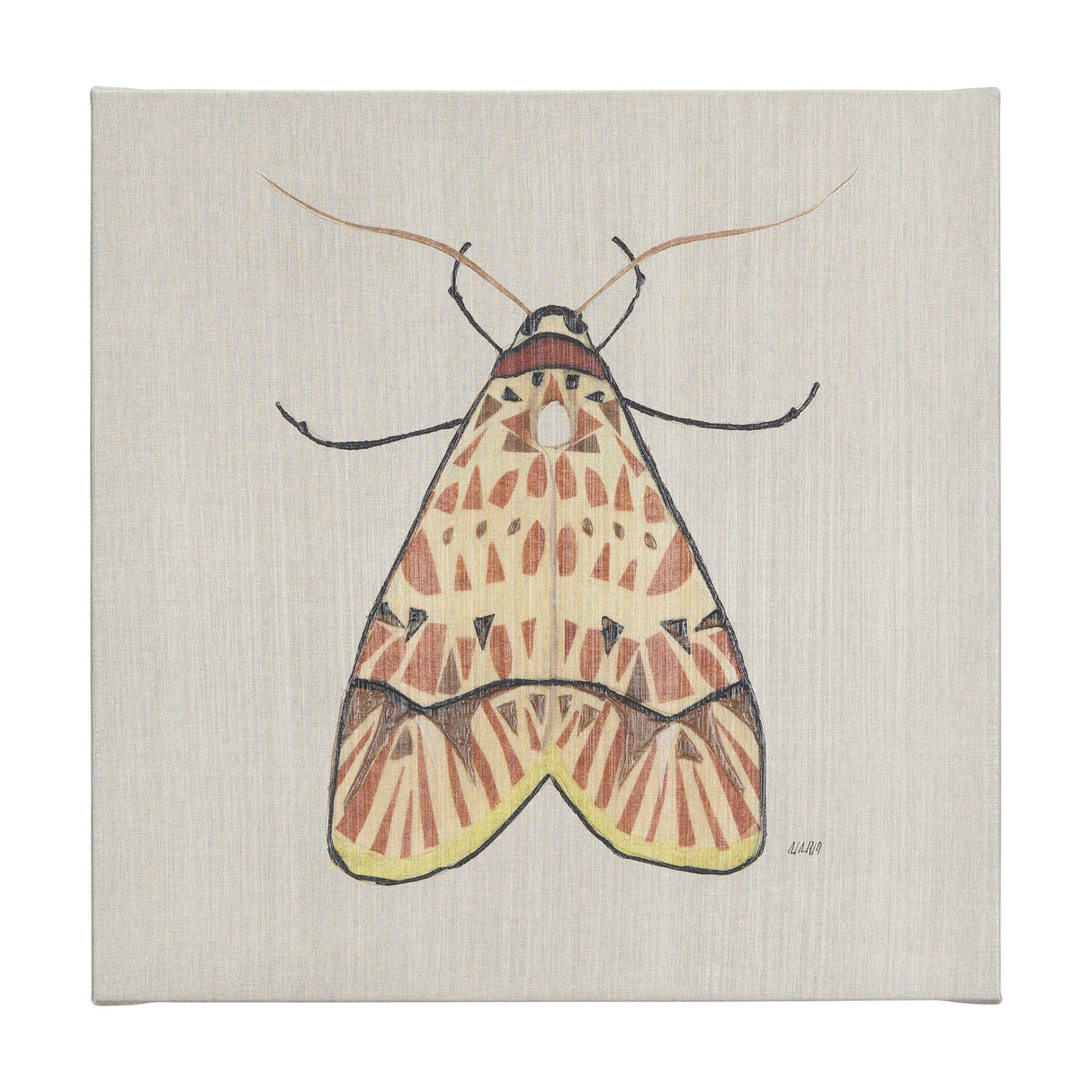 Moth I by Mercana Studio a Hand Embellished Textured Canvas by Mercana at Eve Furniture