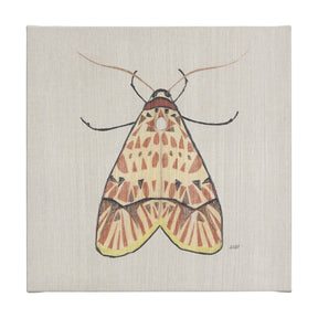 Moth I by Mercana Studio a Hand Embellished Textured Canvas by Mercana at Eve Furniture